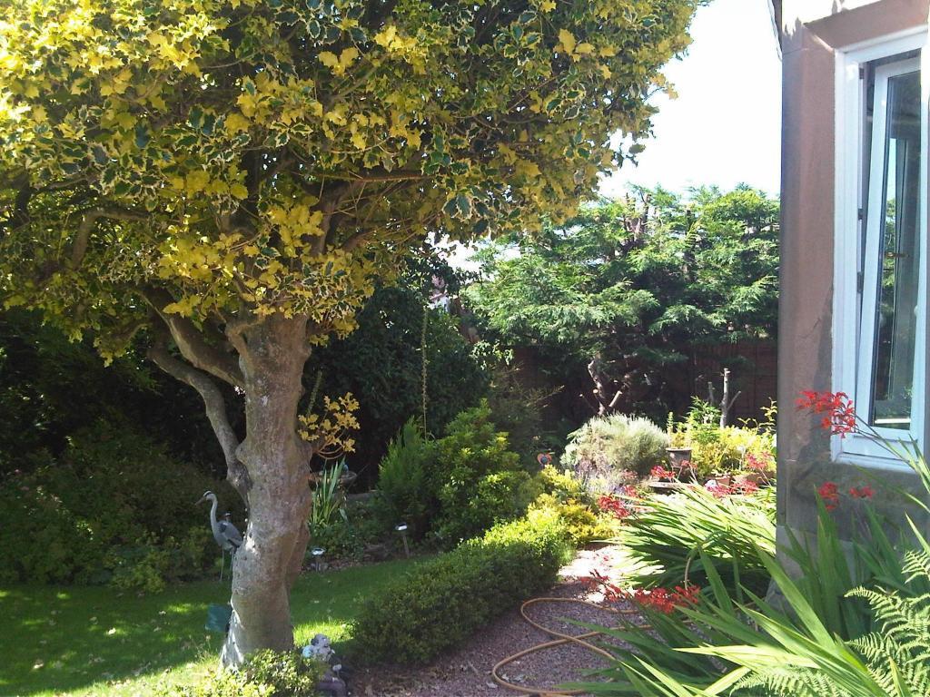 קריף James Cottage Guest House מראה חיצוני תמונה